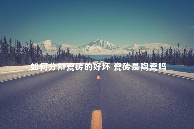 如何分辨瓷砖的好坏 瓷砖是陶瓷吗